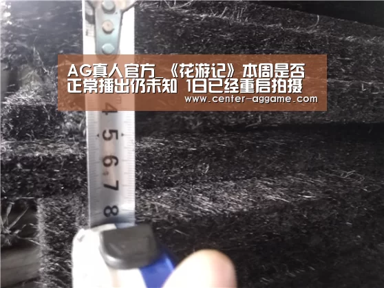 AG真人官方