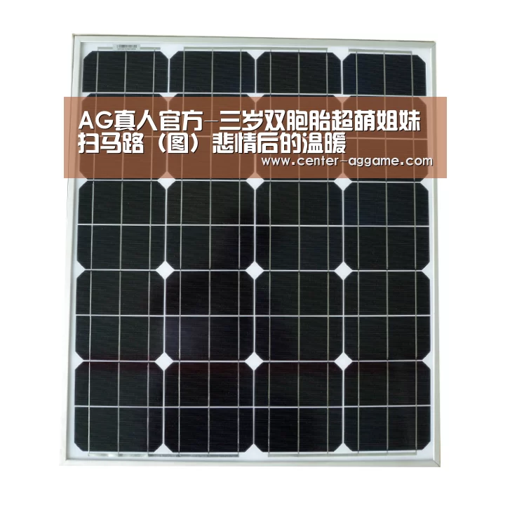AG真人官方-三岁双胞胎超萌姐妹扫马路(图)悲情后的温暖(图4) AG真人官方