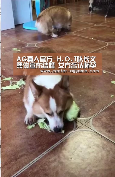 AG真人官方-H.O.T队长文熙俊宣布结婚 女方否认怀孕(图3) AG真人